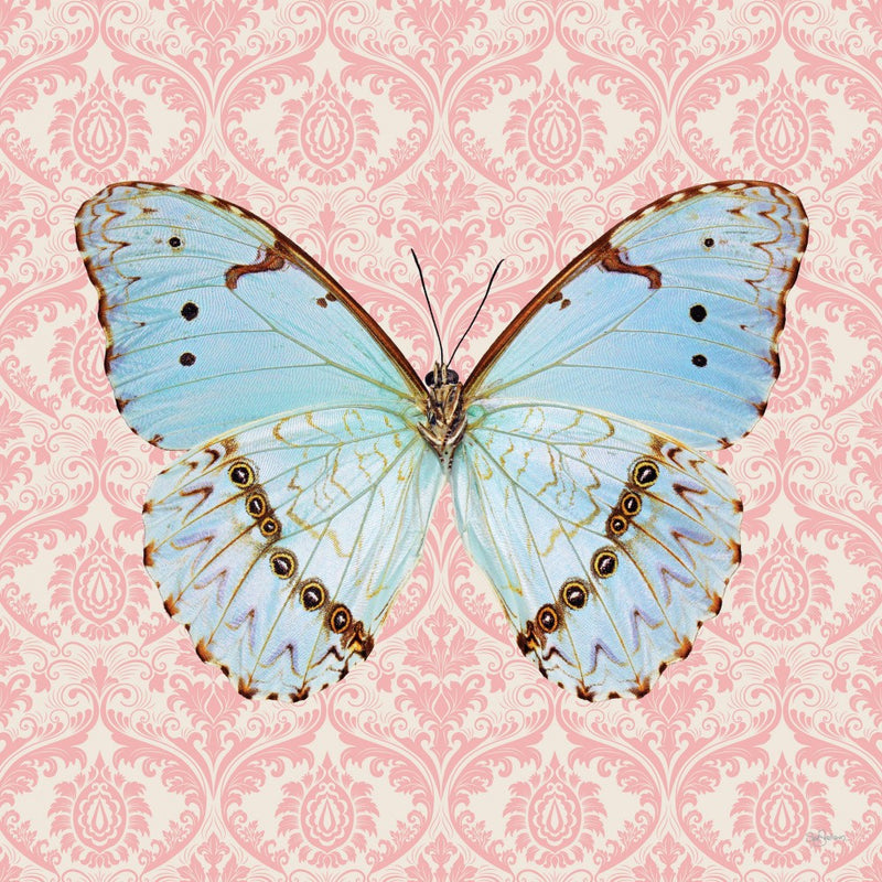 Pretty Butterfly #2