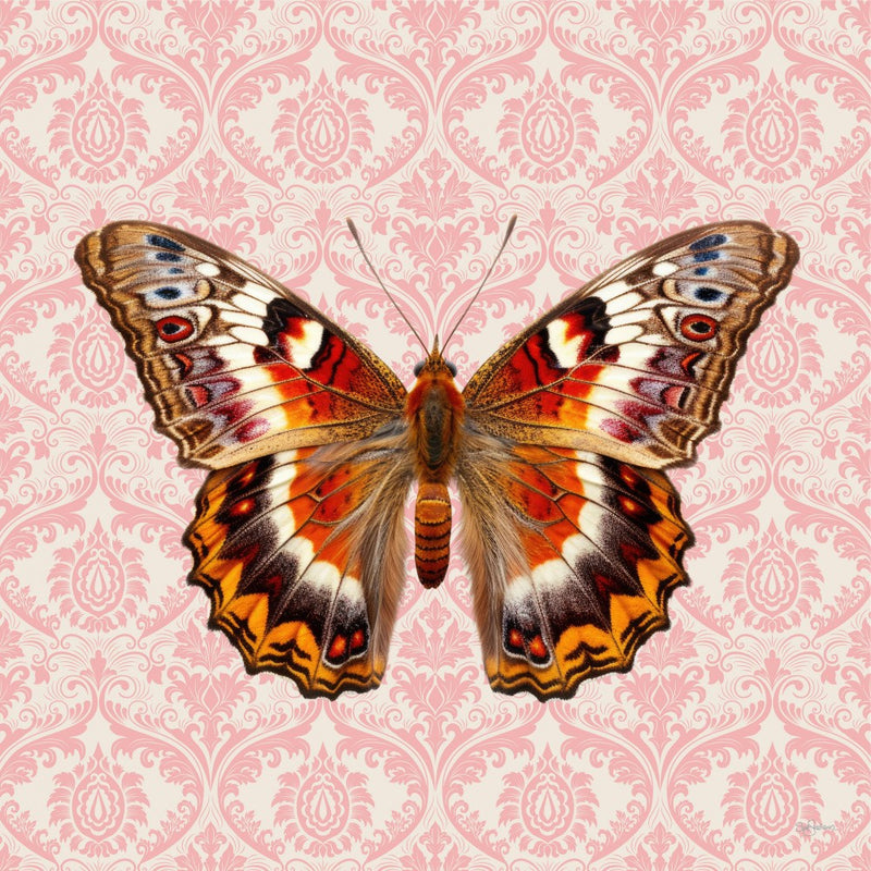 Pretty Butterfly #4