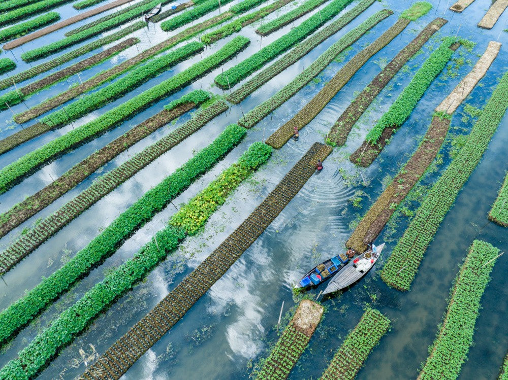 Floating farming