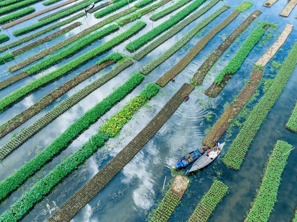 Floating farming