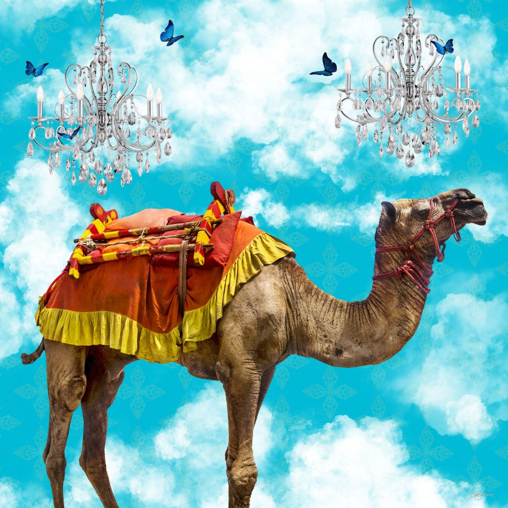 Animals In the Clouds_Camel