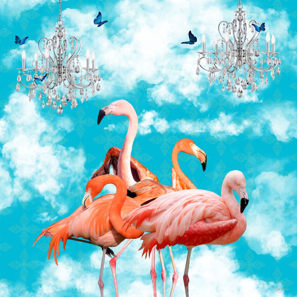 Animals In the Clouds_Flamingos