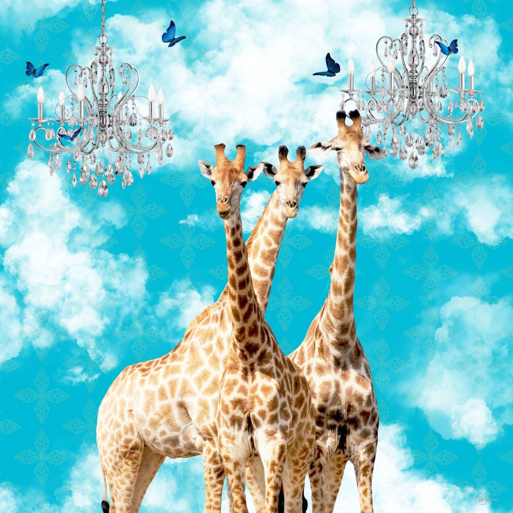 Animals In the Clouds_Giraffes