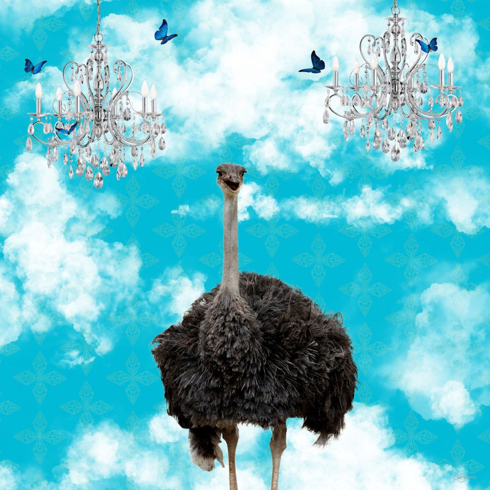 Animals In the Clouds_Ostrich