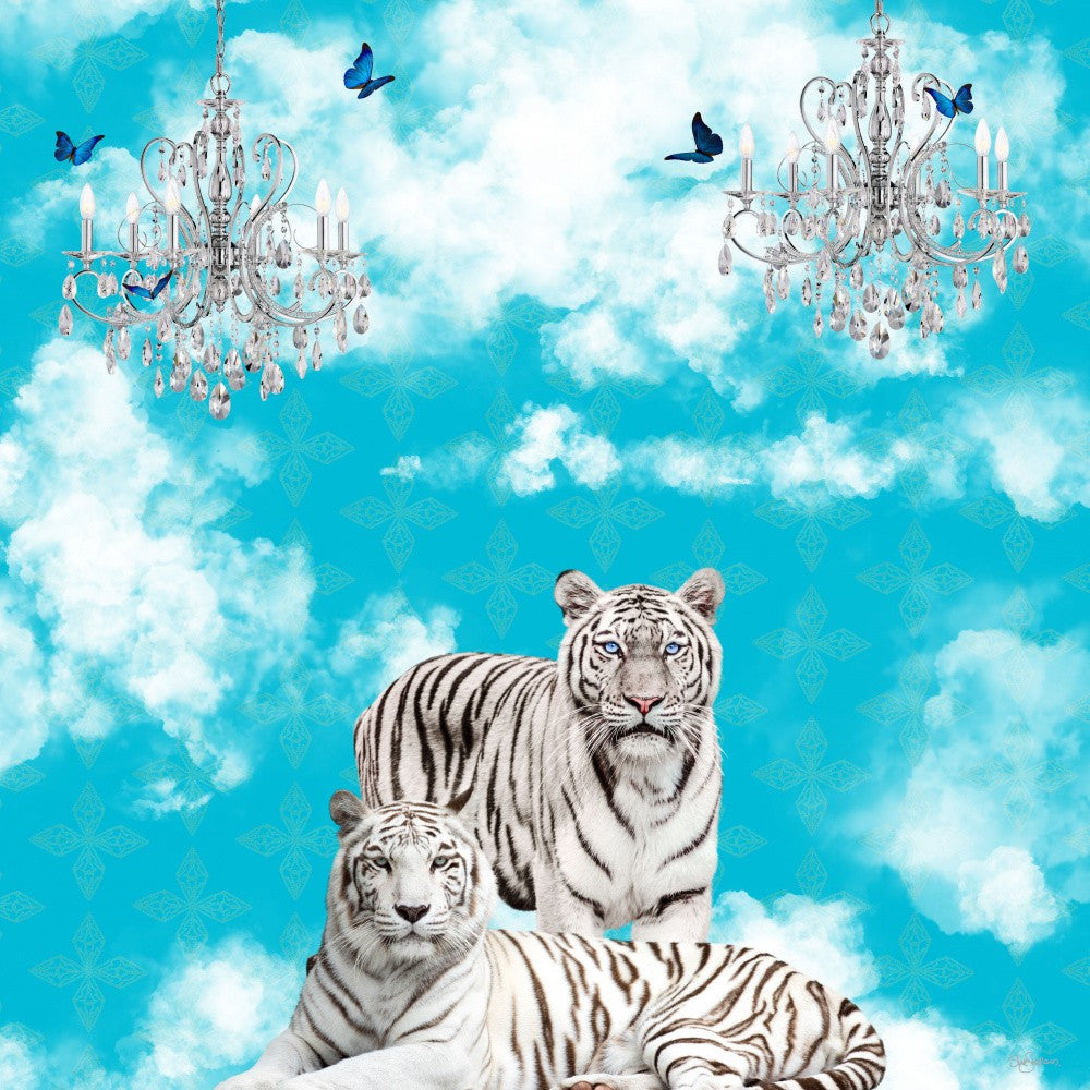 Animals In the Clouds_White Tigers