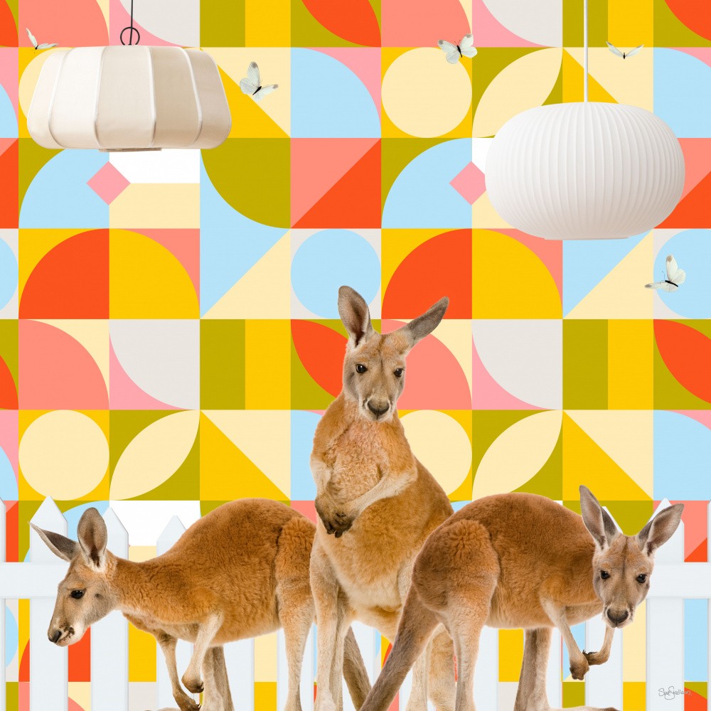 Over the Fence Mate_Kangaroos