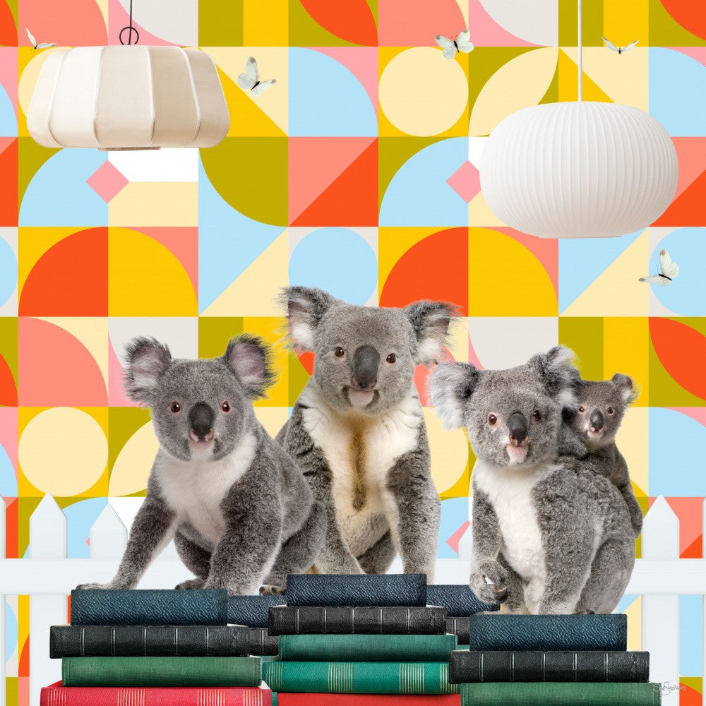 Over the Fence Mate_Koalas