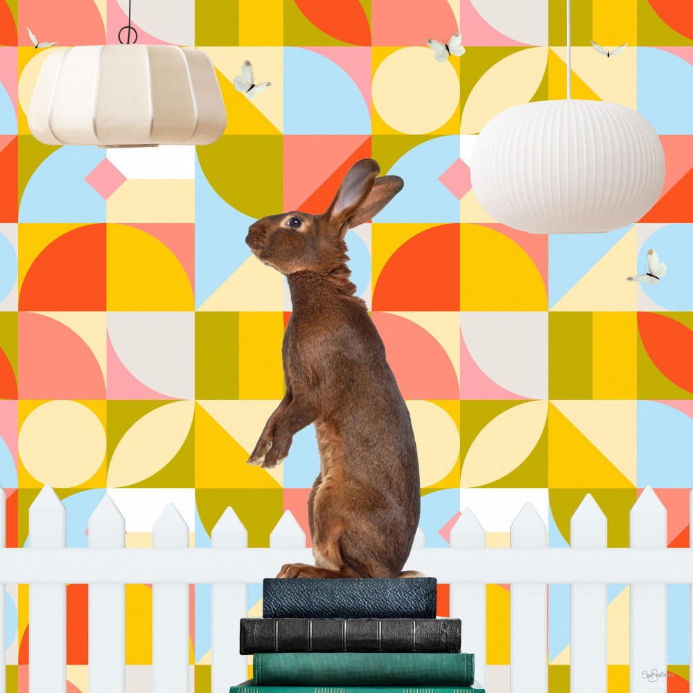 Over the Fence Mate_Rabbit