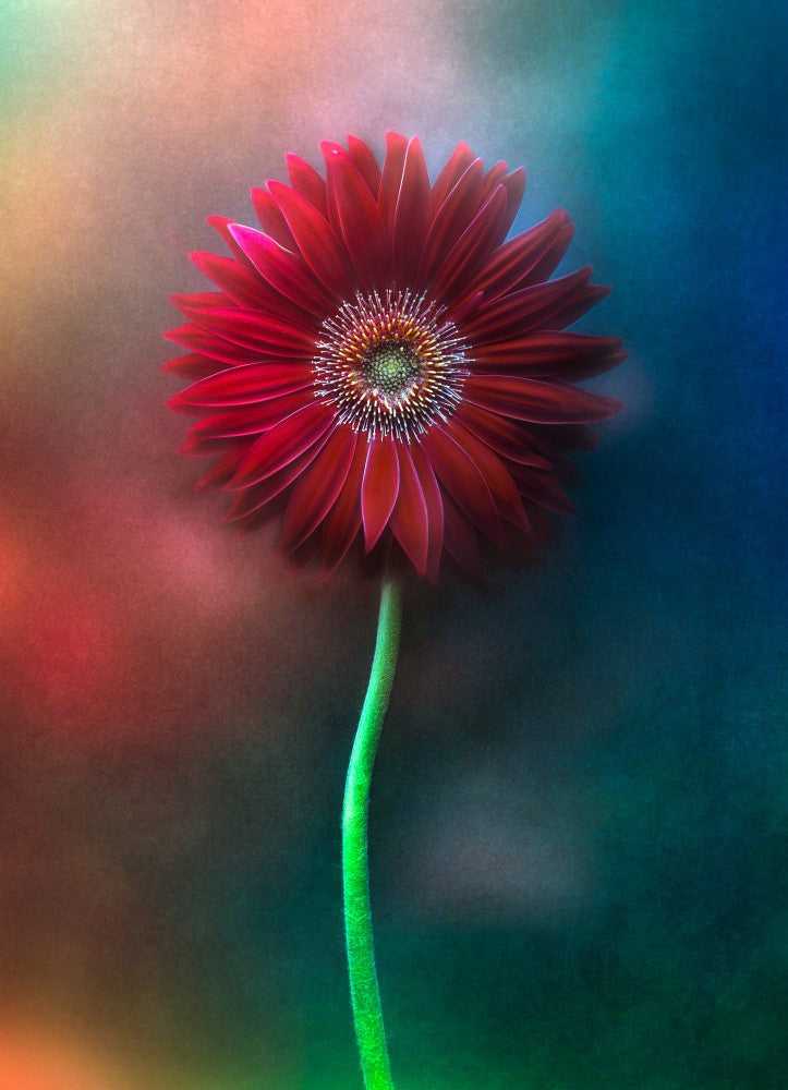 Théorie des couleurs