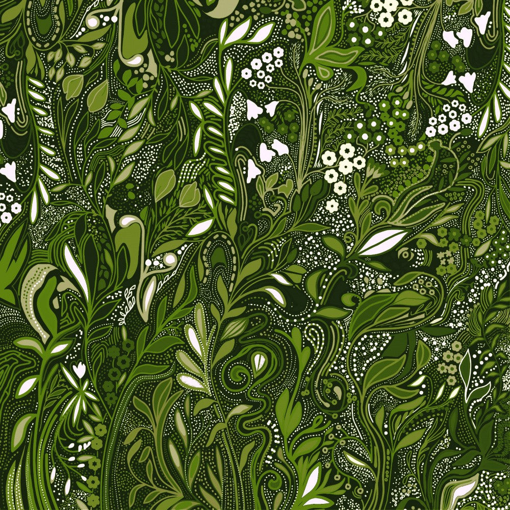Brugmansia