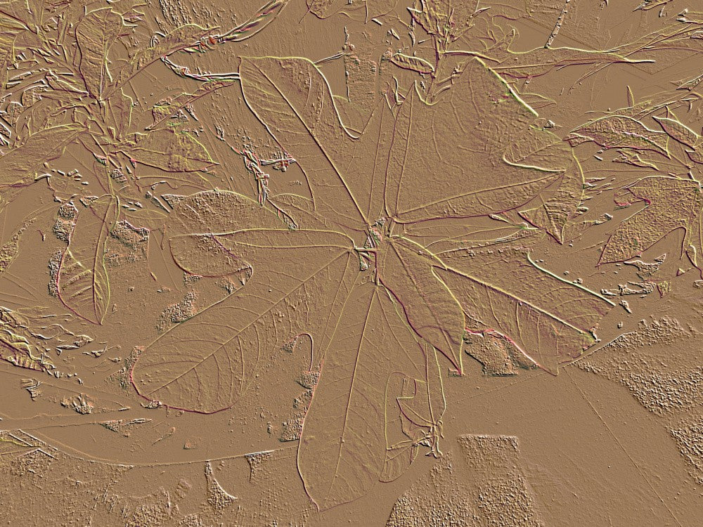 Textured Foliage