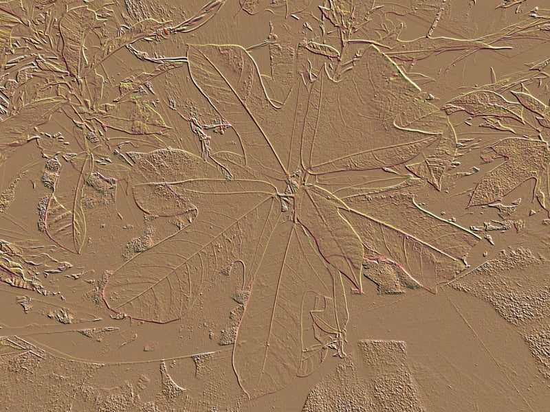 Textured Foliage