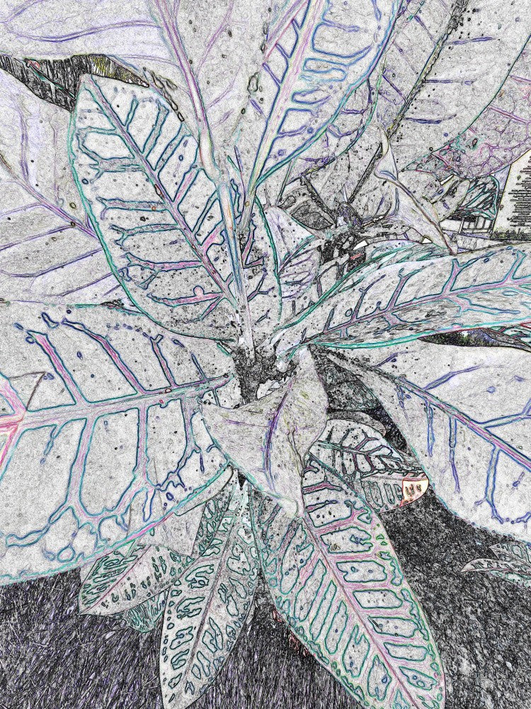 Leafy Dreamscape