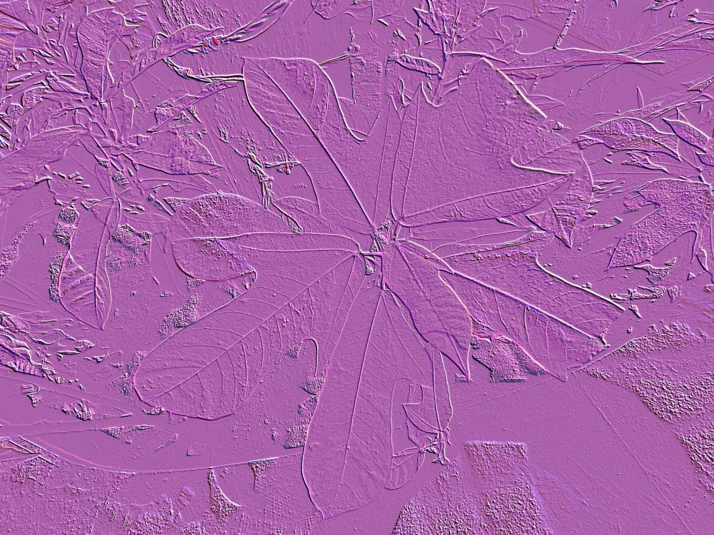 Embossed Flora Dream