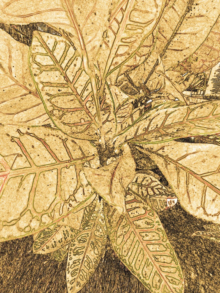 Golden Leaf Dreams