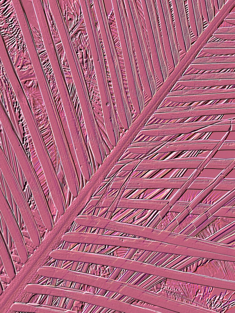 Fractured Pink Leaf