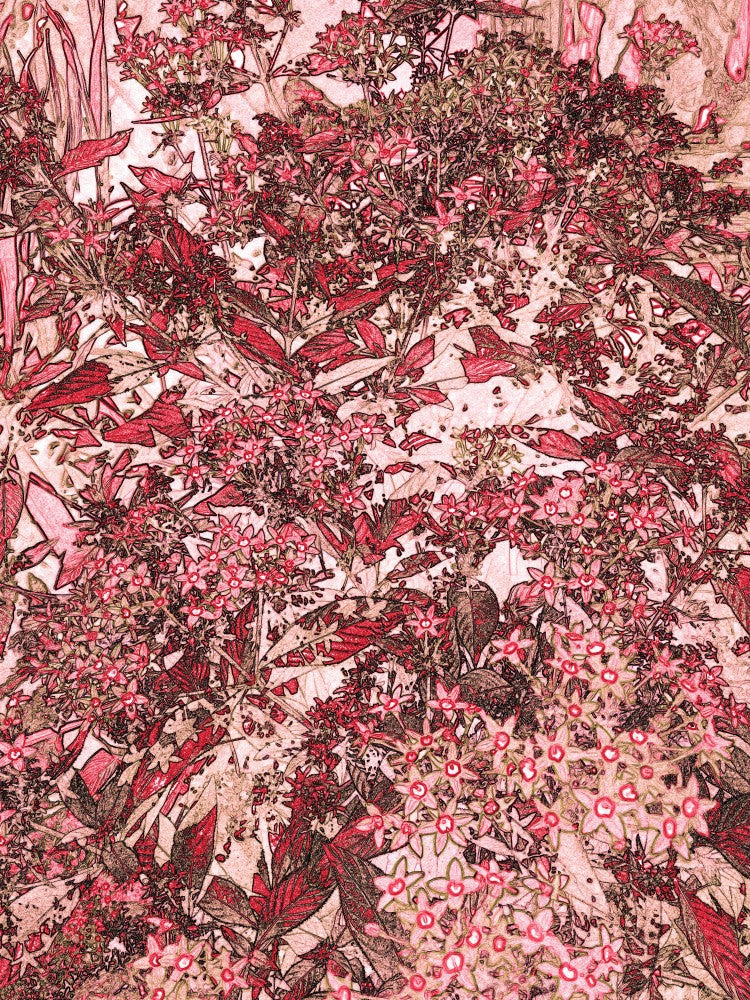 Crimson Flora Dream