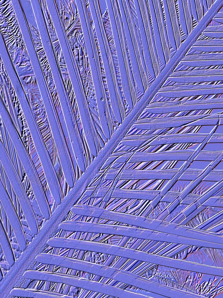 Violet Frond Lines