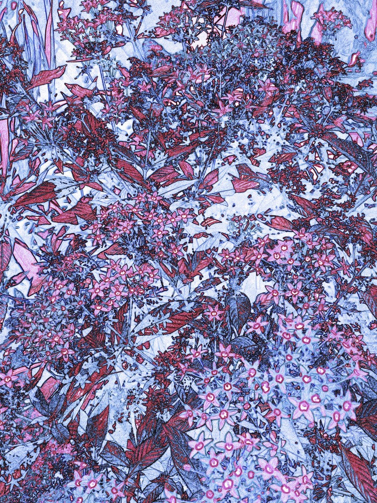 Floral Whimsy