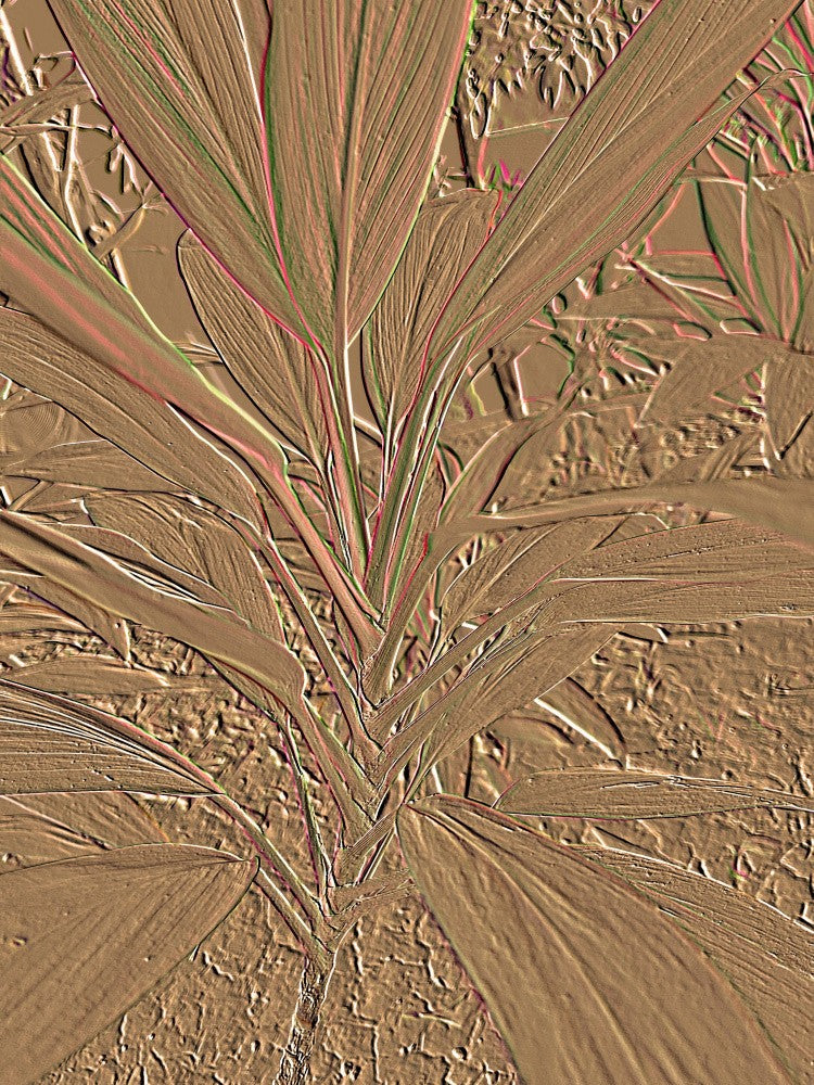 Embossed Botanics