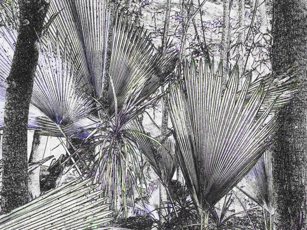 Jungle Fan Dance