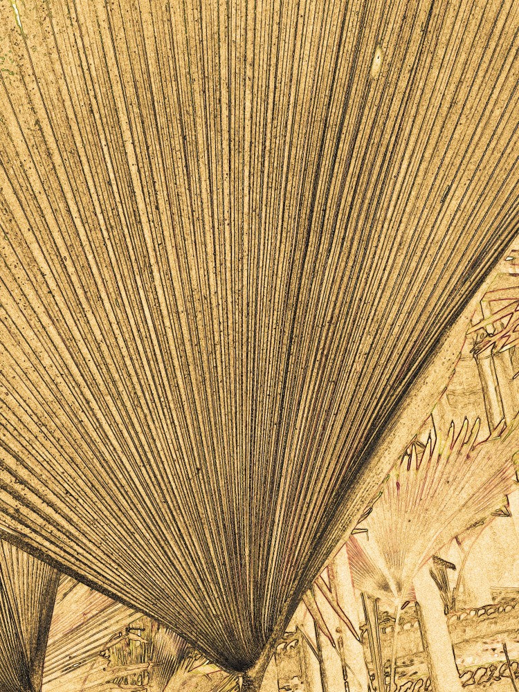 Golden Canopy