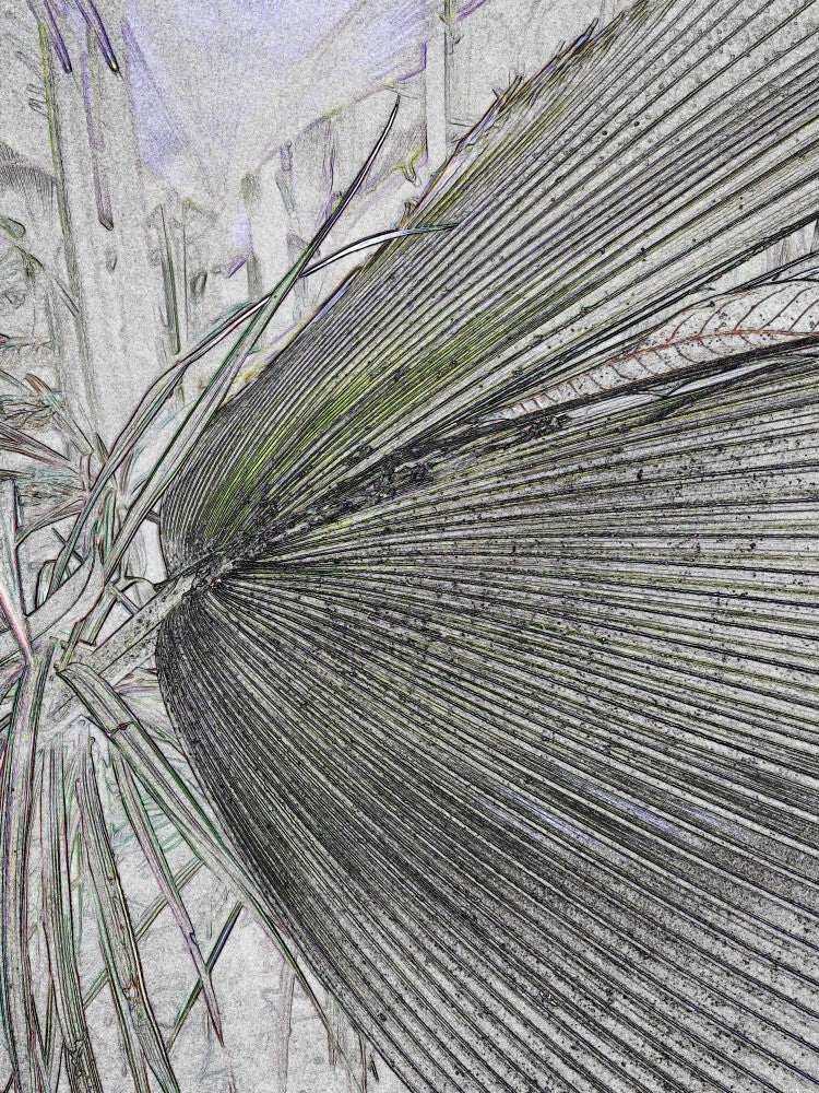 Fractal Leaf Lines