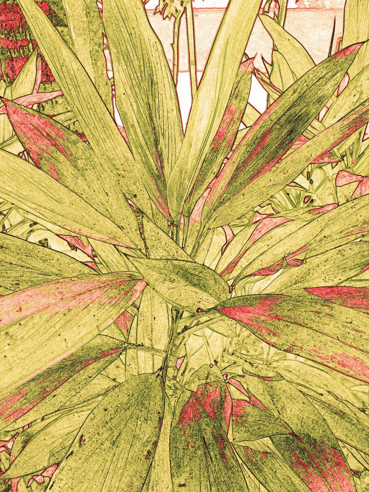 Verdant Whimsy