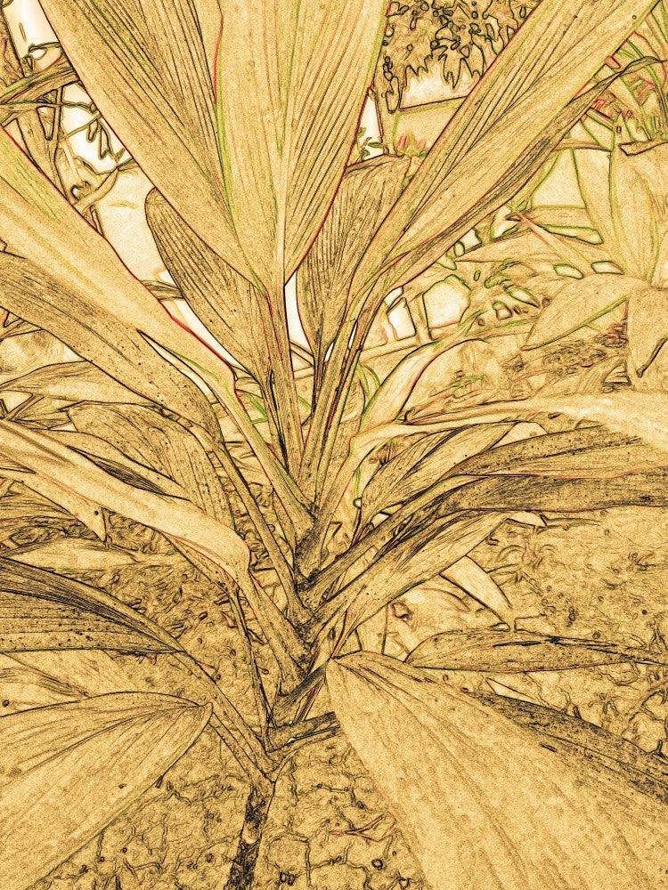 Golden Leaves Essence