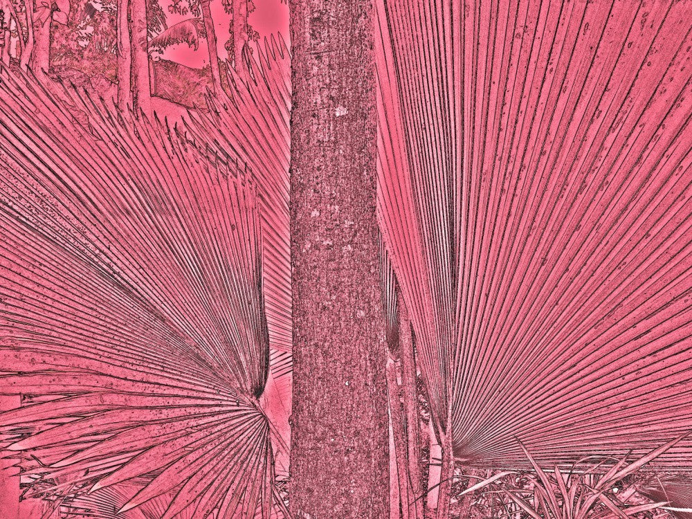 Crimson Fronds