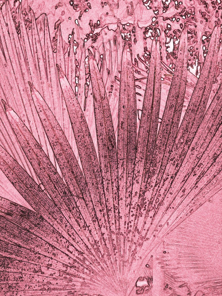 Palm Fanfare