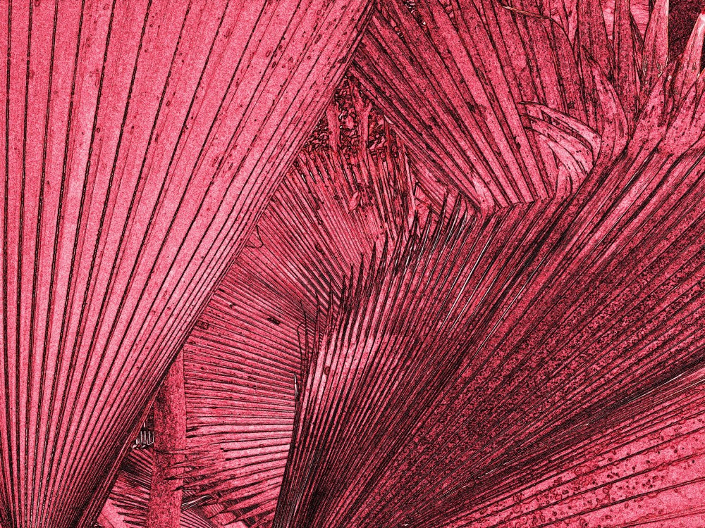 Palm Petals Pulse