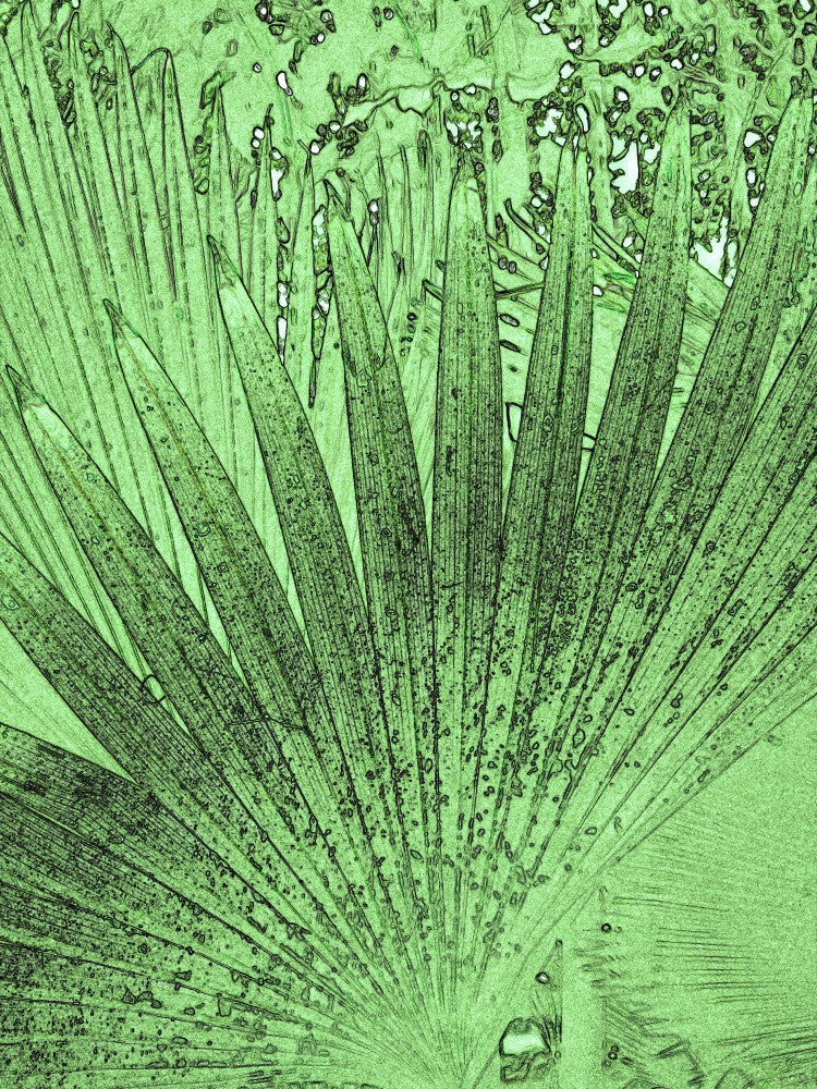 Verdant Palm Lines