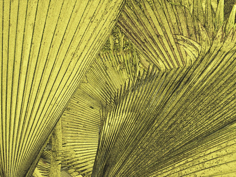 Golden Palm Whispers