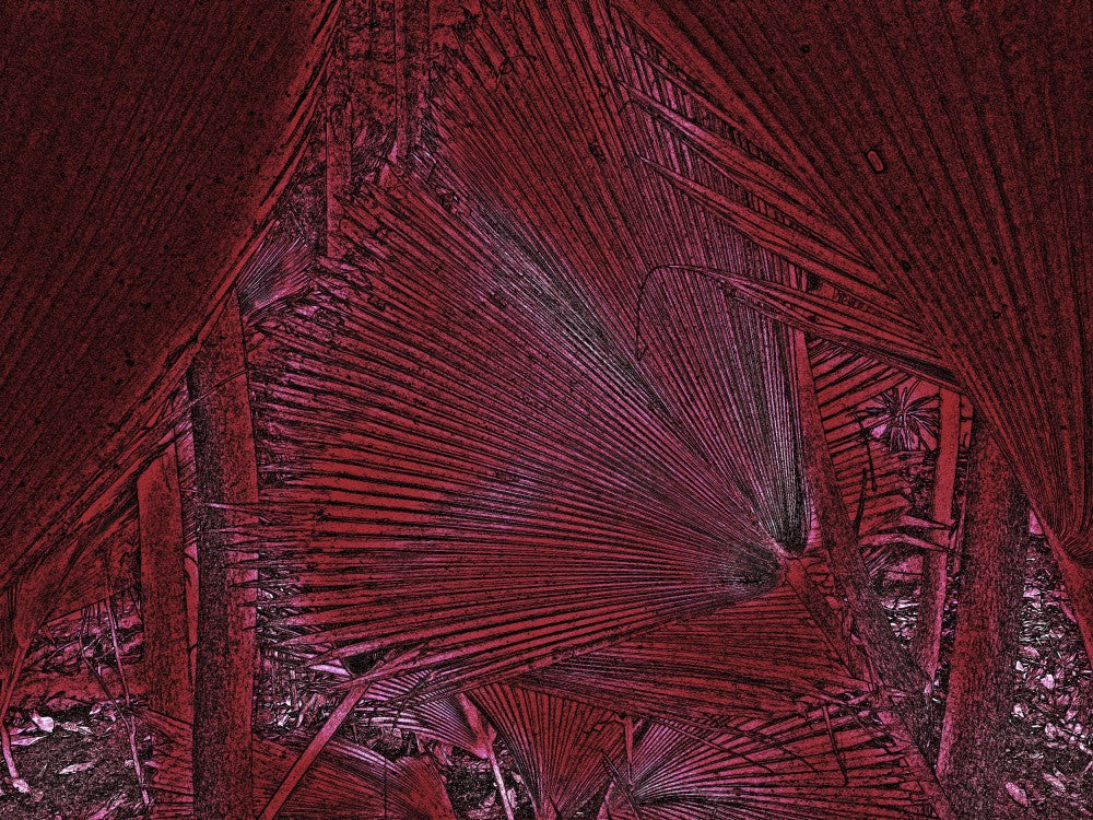Crimson Leaf Rhythms