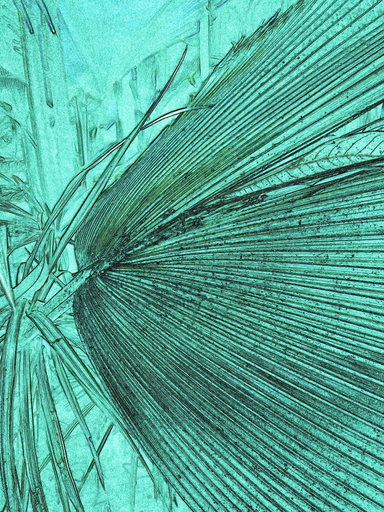 Turquoise Fronds