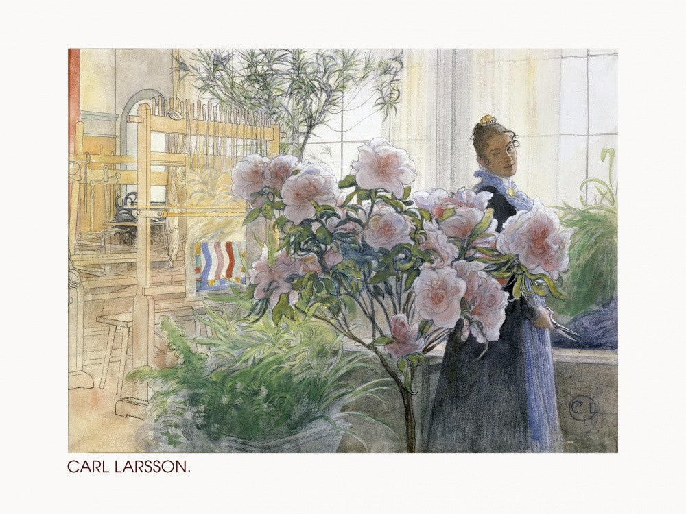 Azalea (1906)