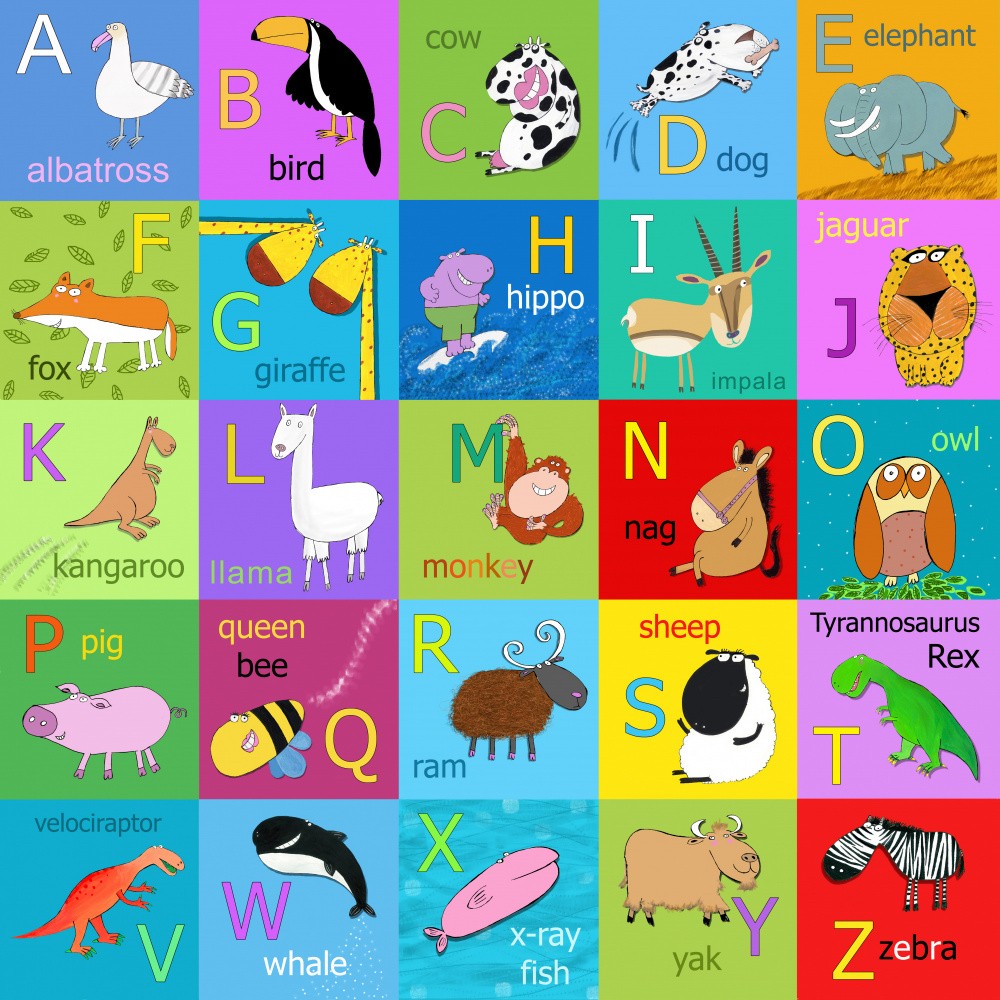 Illustriertes Tieralphabet von Carla Daly