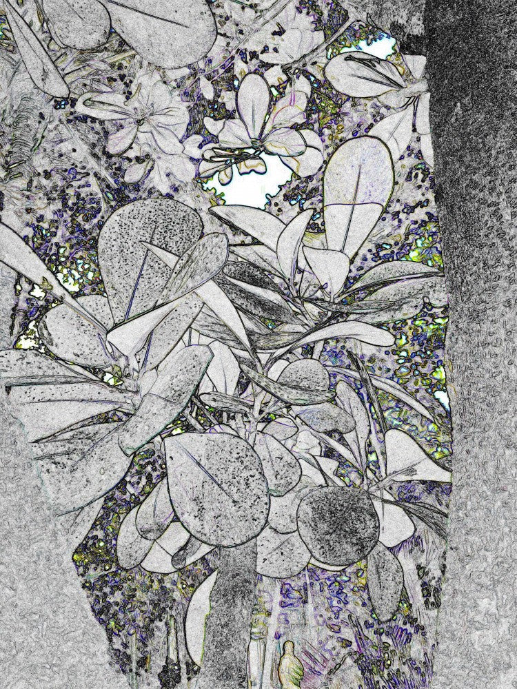 Botanische Traumlandschaft