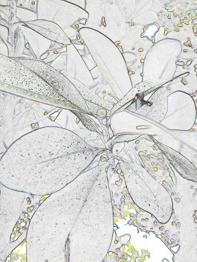 Leafy Sketchscape