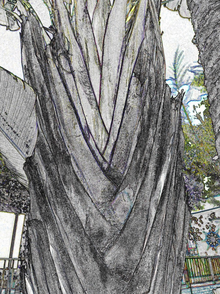 Nature's Tapestry