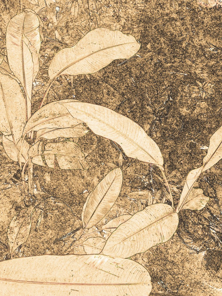 Whispering Leaves