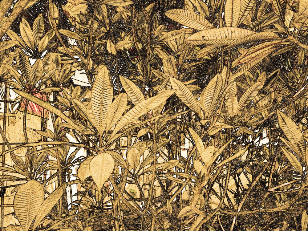 Golden Foliage Maze