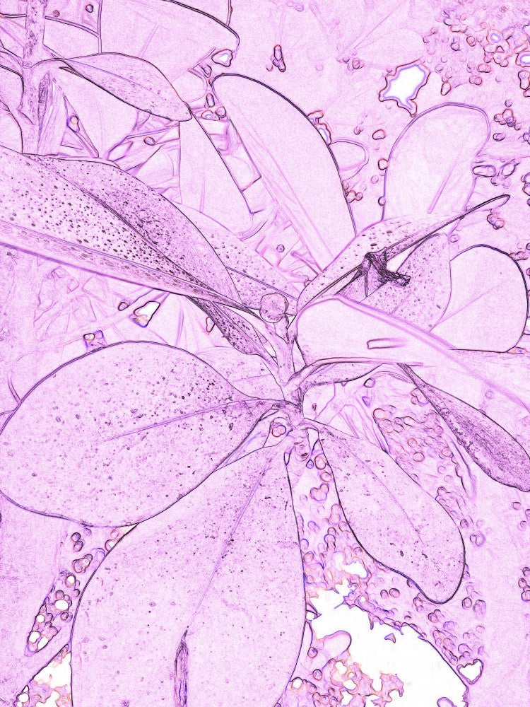 Purple Leaf Dream