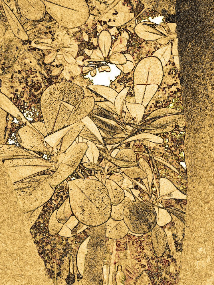 Golden Leaves Canvas