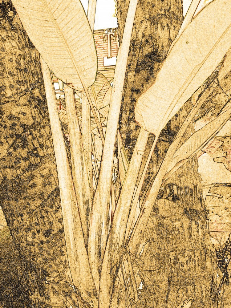 Golden Foliage Sketch