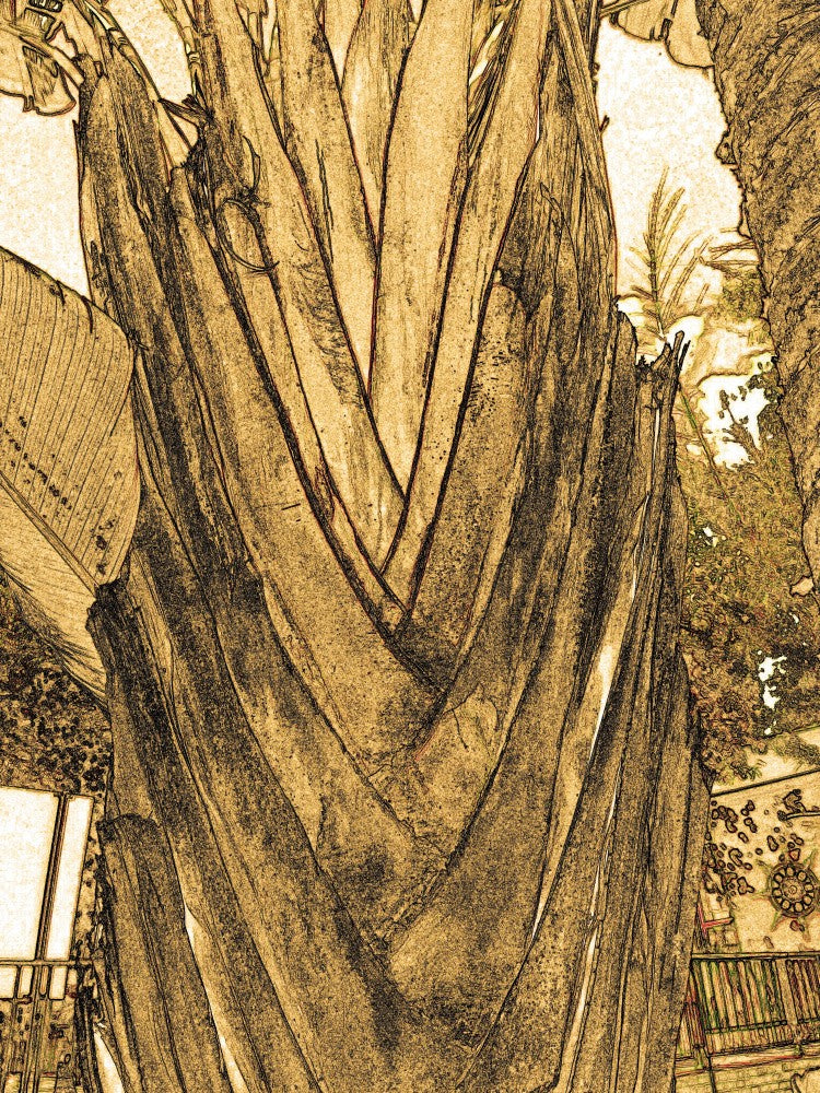 Golden Trunk Lines