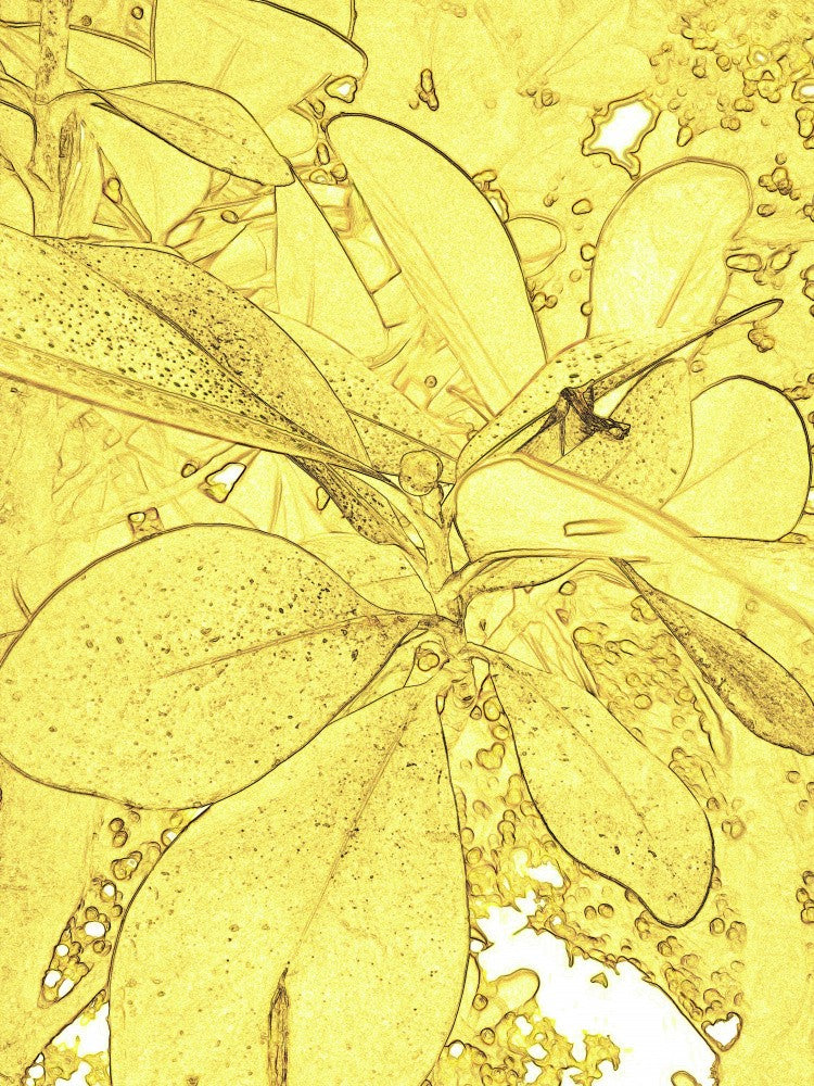 Golden Foliage Sketch