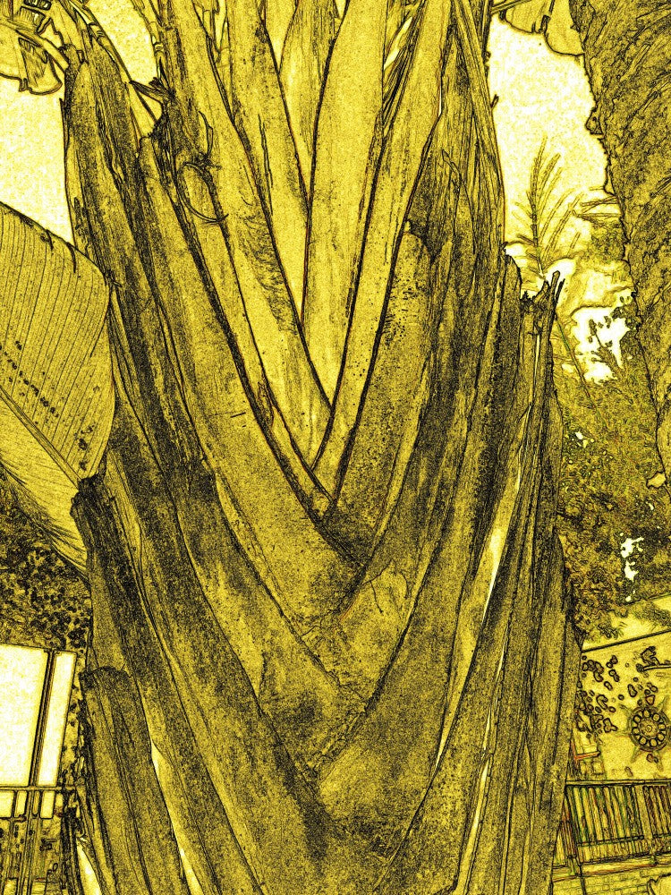 Golden Leaf Waves