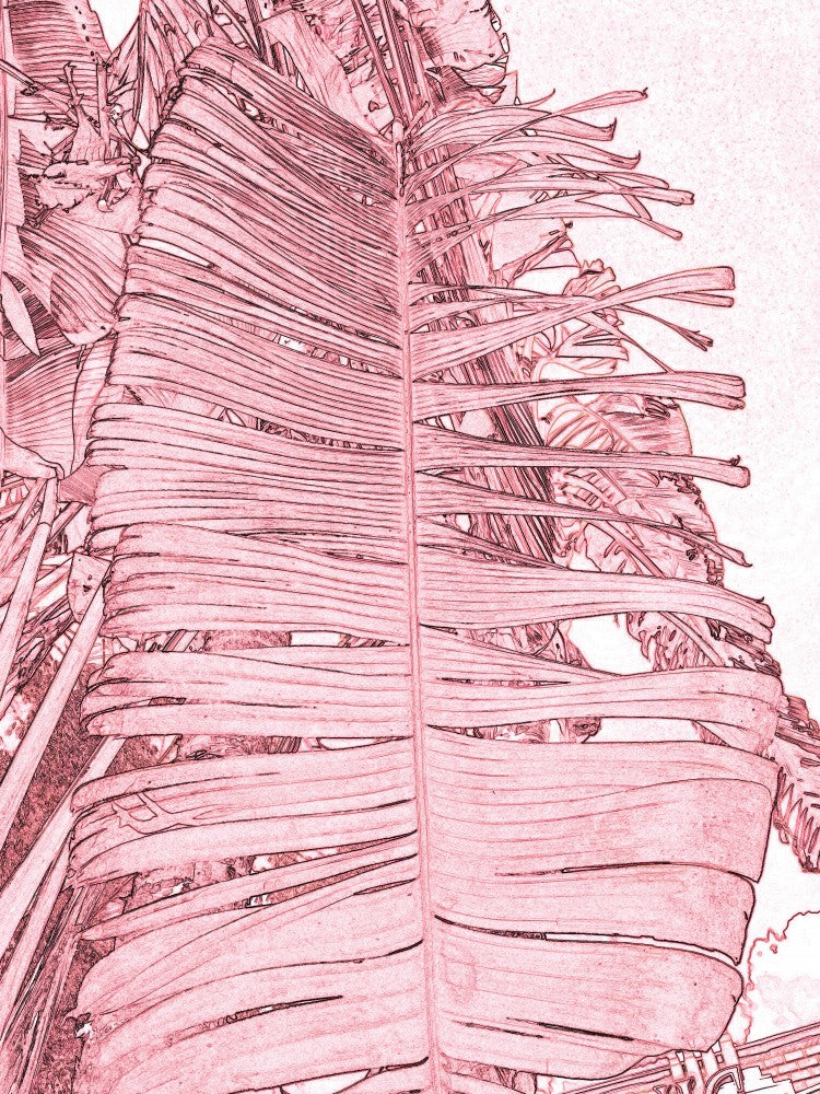 Crimson Frond Vibes